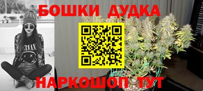 apvp Кандалакша