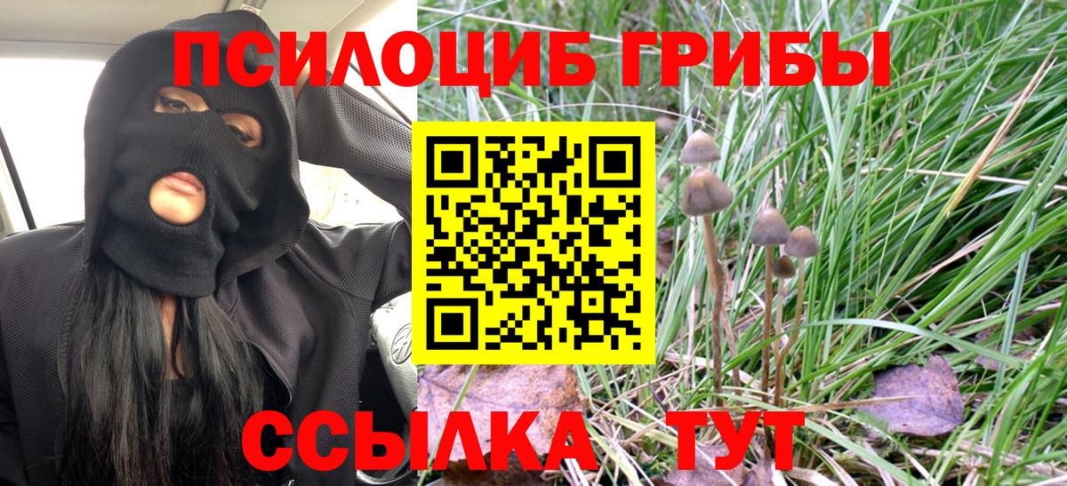 Кыштым  Псилоцибиновые грибы Cubensis  Вход с VPN 