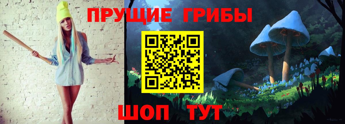 Псилоцибиновые грибы Psilocybe Кыштым